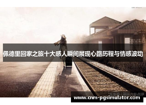 佩德里回家之旅十大感人瞬间展现心路历程与情感波动