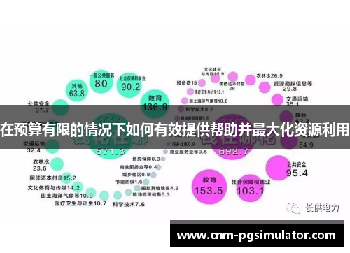 在预算有限的情况下如何有效提供帮助并最大化资源利用