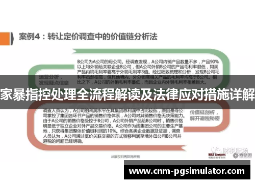 家暴指控处理全流程解读及法律应对措施详解