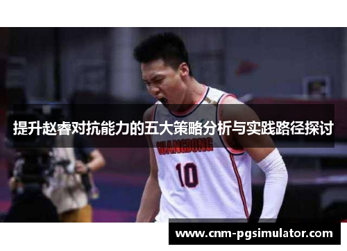 提升赵睿对抗能力的五大策略分析与实践路径探讨