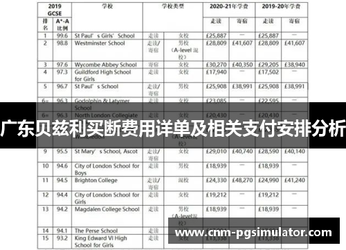 广东贝兹利买断费用详单及相关支付安排分析