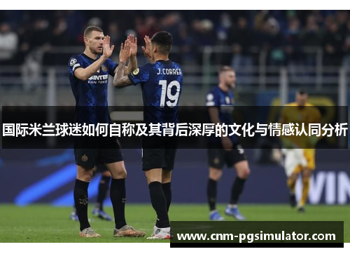 国际米兰球迷如何自称及其背后深厚的文化与情感认同分析
