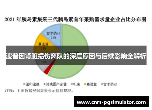 波普因肾脏损伤离队的深层原因与后续影响全解析