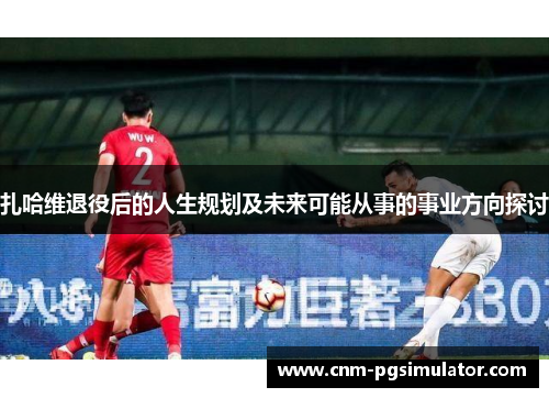 扎哈维退役后的人生规划及未来可能从事的事业方向探讨