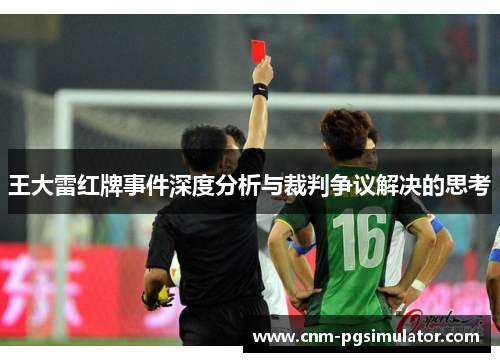 王大雷红牌事件深度分析与裁判争议解决的思考