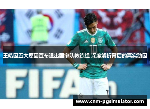 王皓因五大原因宣布退出国家队教练组 深度解析背后的真实动因