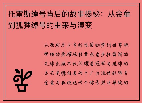 托雷斯绰号背后的故事揭秘：从金童到狐狸绰号的由来与演变