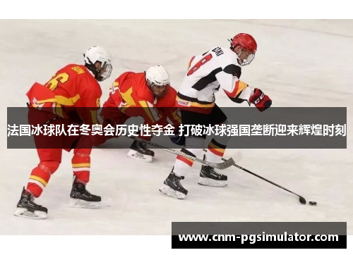 法国冰球队在冬奥会历史性夺金 打破冰球强国垄断迎来辉煌时刻