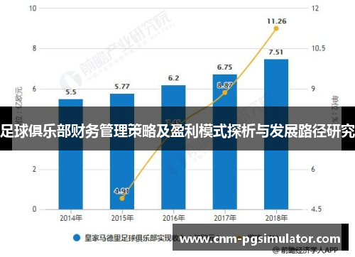 足球俱乐部财务管理策略及盈利模式探析与发展路径研究